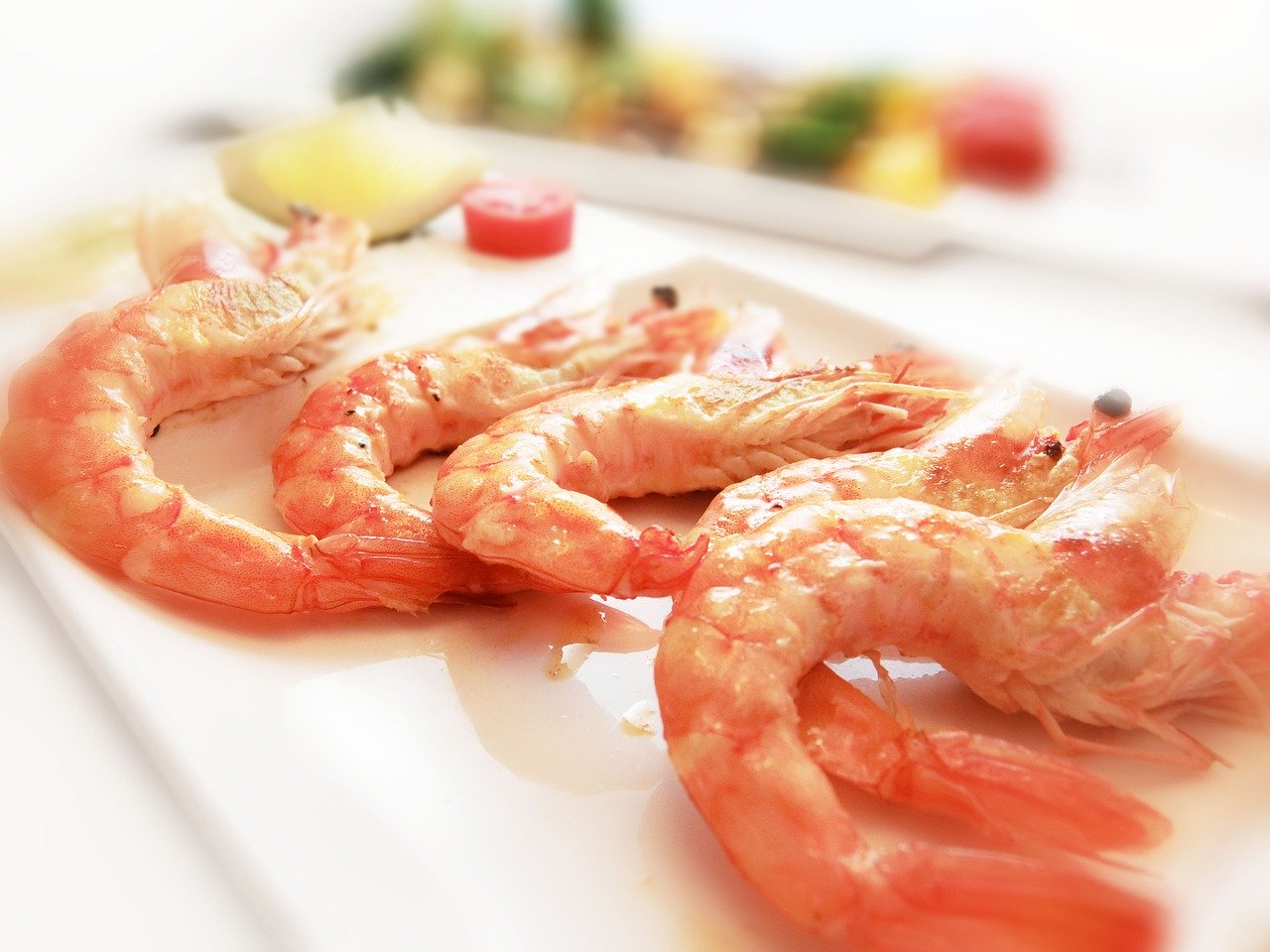 shrimp-1604647_1280