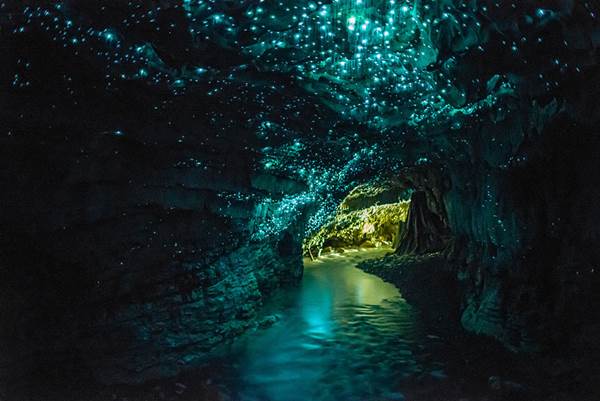 뉴질랜드 반딧불이 동굴