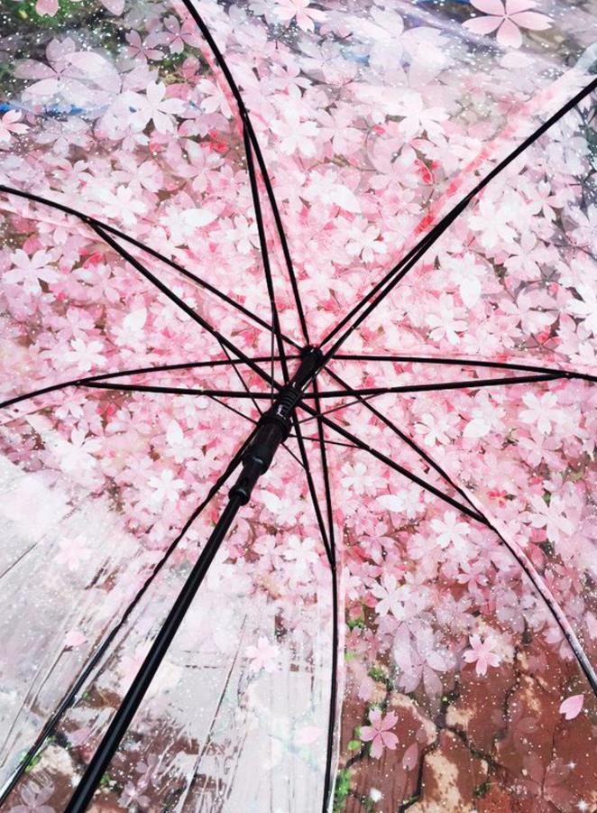 벚꽃우산4