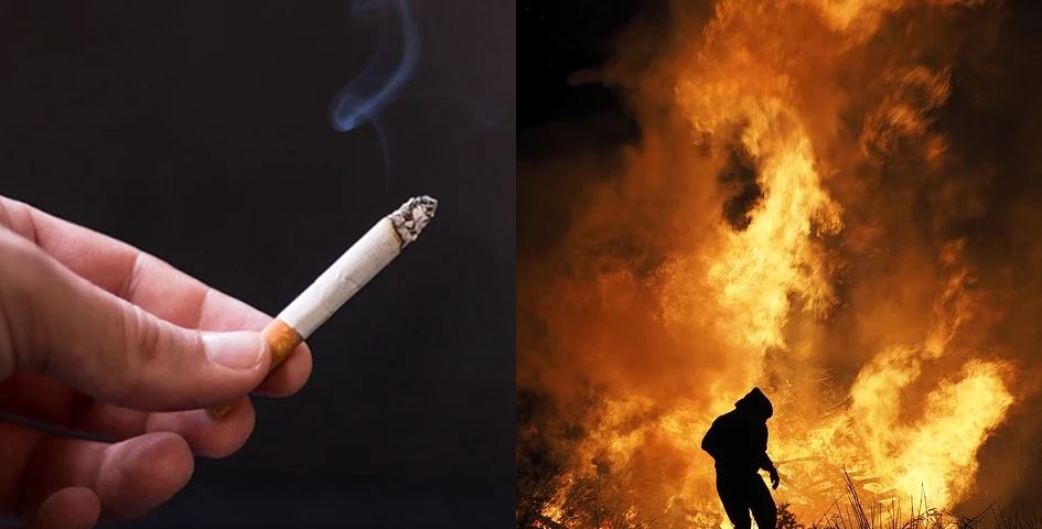 담배 꽁초 불 화재 1