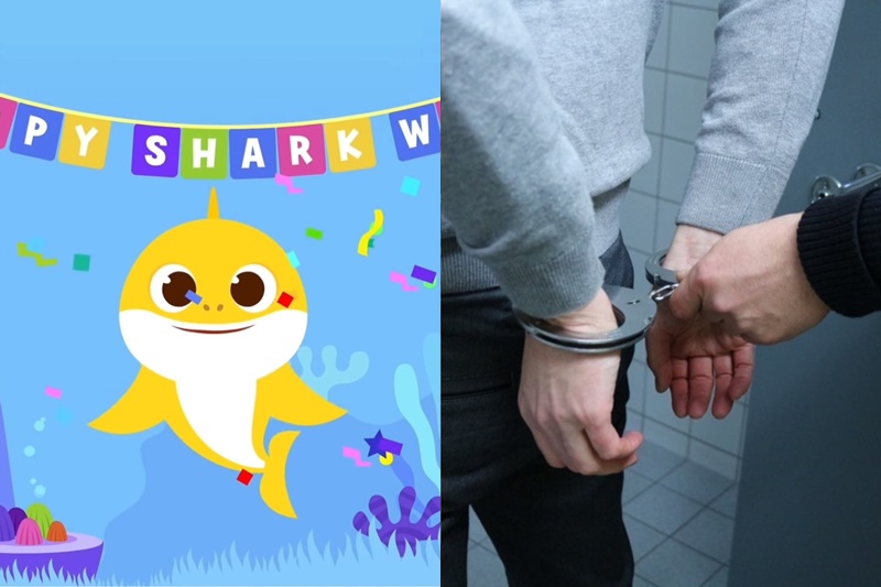 상어 체포