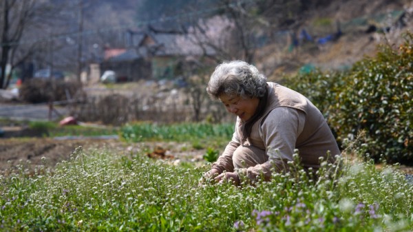 자연과 공존하는 슬로우 라이프, 옥희 씨의 일상 공개 이미지
