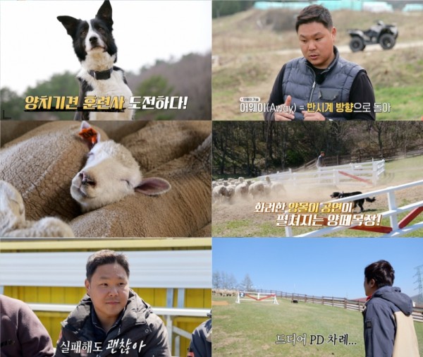 양치기 PD 손우열, 보더콜리와의 훈련 속 박진감 넘치는 하루! 이미지