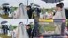 많이 본 기사-황병국 감독, 드라마 마지막 회 특별 출연으로 시청자 감동 예고