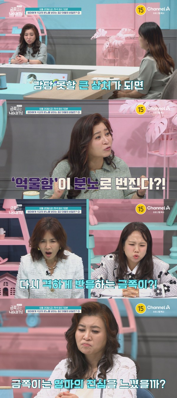 금쪽이, 엄마 향한 극한의 반항 갈등의 본질은 이미지