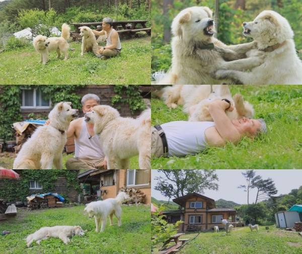 누룩이 집착견 사랑이, 오지에서 벌어진 사랑의 전쟁 이미지