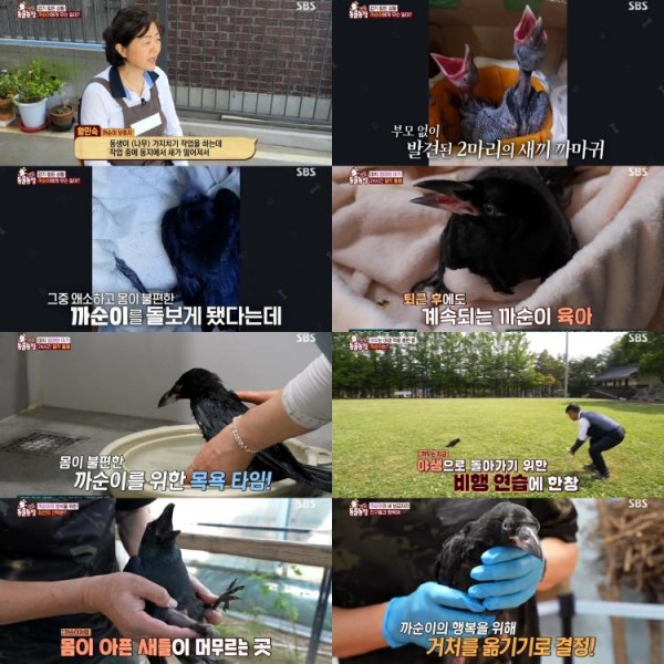 눈물의 이별, 까순이와 민숙 씨의 특별 우정 이미지