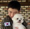 많이 본 기사-군복 입은 차은우, 반려견 동동이와 따뜻한 재회 순간